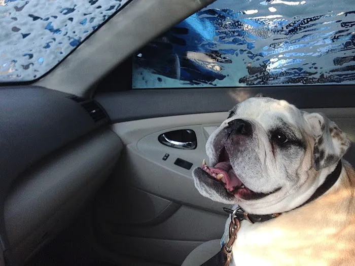 Car Wash 103 Picture 9