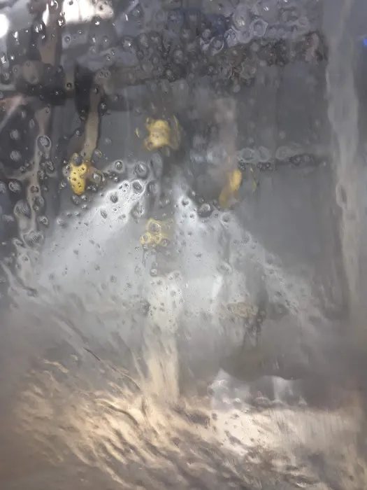 Car Wash 103 Picture 5