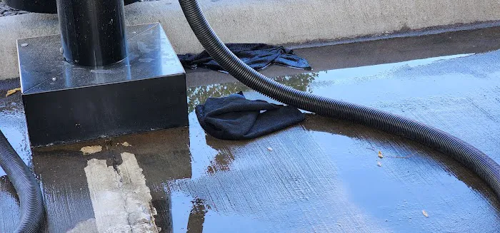 Club Car Wash Picture 10