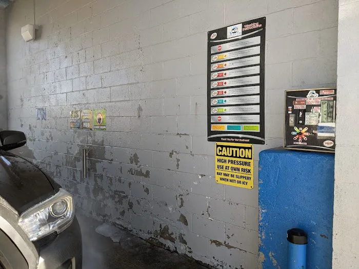 Kars and K9s Picture 3