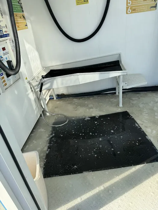 Kars and K9s Picture 5