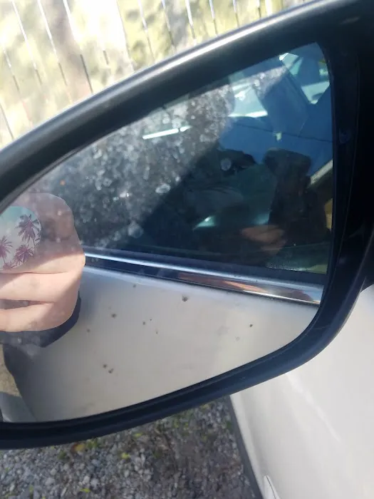 Porter Buggy Bath Picture 6