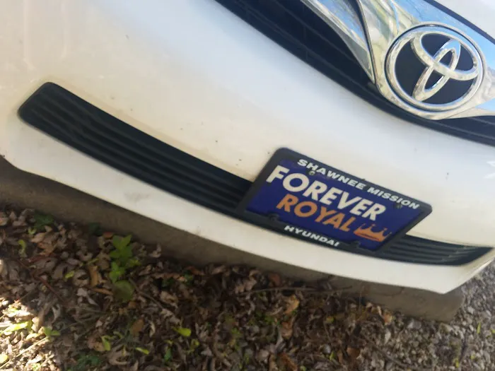 Porter Buggy Bath Picture 8