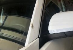 GO Car Wash photo 4