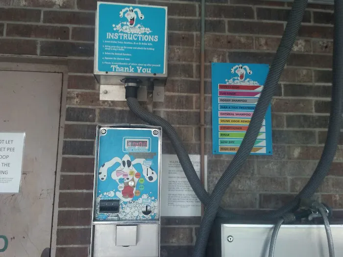 Lucky Time Dog And Carwash Picture 5