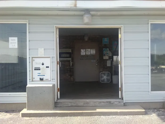 Lucky Time Dog And Carwash Picture 6