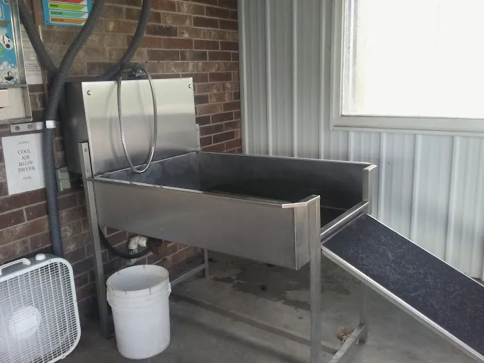 Lucky Time Dog And Carwash Picture 4