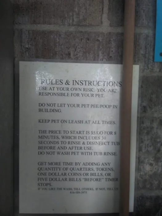 Lucky Time Dog And Carwash Picture 8