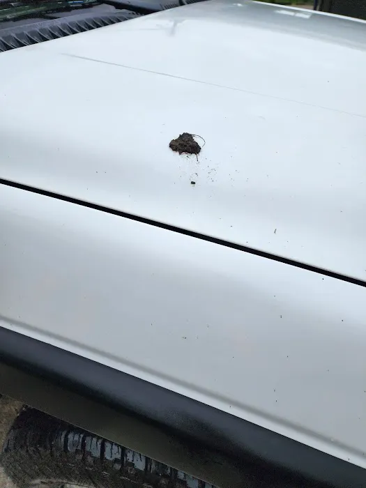 Dr Spotless Car Wash Picture 2