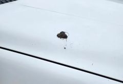 Dr Spotless Car Wash photo 2