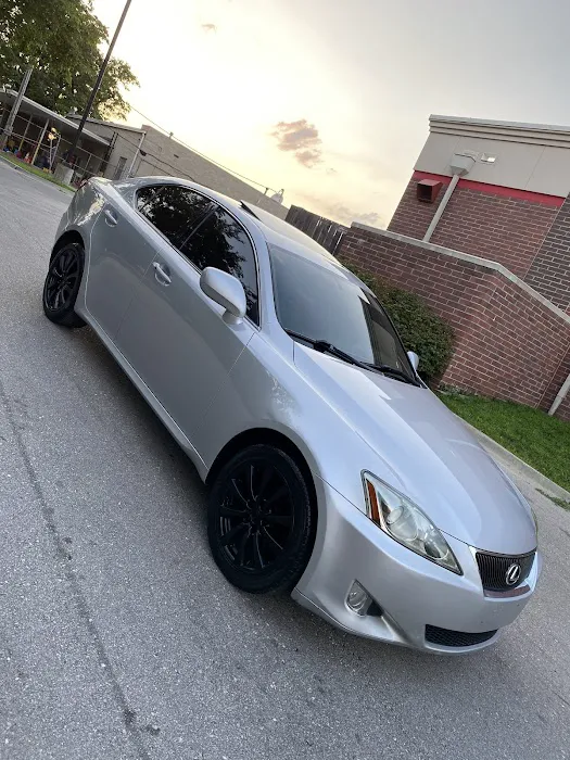 BlueGaviota Picture 1