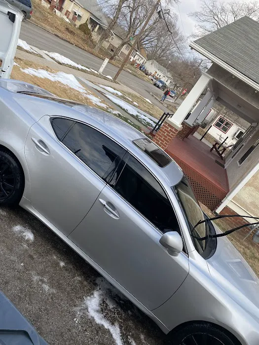 BlueGaviota Picture 2