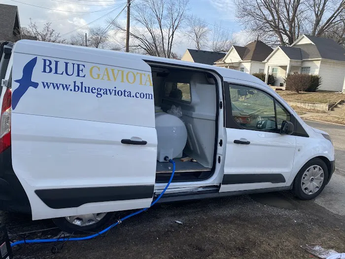 BlueGaviota Picture 5