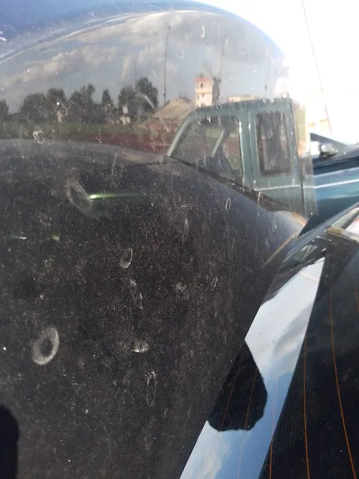 Irish Mist Carwash Picture 5