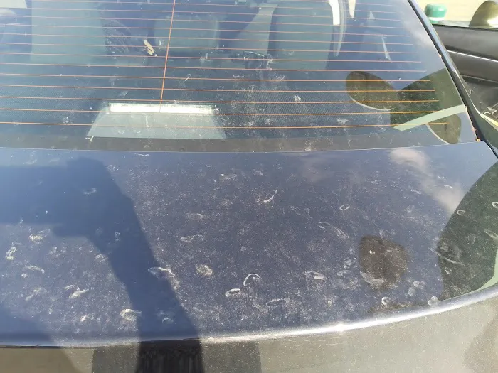 Irish Mist Carwash Picture 7