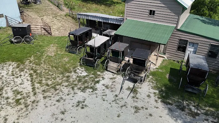 Wash & Roll Car Wash Picture 3