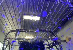Hurricane Bay Car Wash photo 2