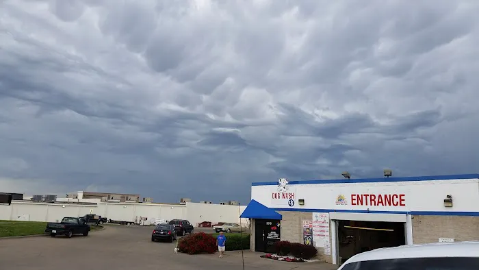 Squeaky Clean Car Wash Picture 5