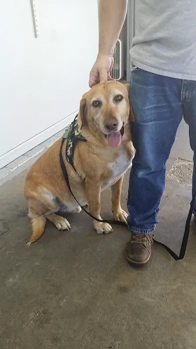 Squeaky Clean Car Wash Picture 7