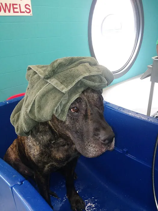 Squeaky Clean Car Wash Picture 8