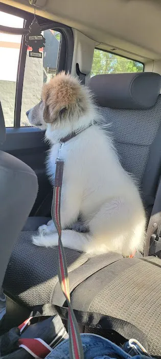 Squeaky Clean Car Wash Picture 1