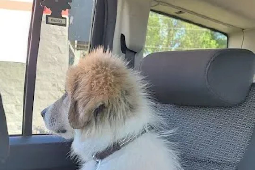 Squeaky Clean Car Wash