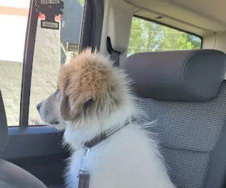 Squeaky Clean Car Wash