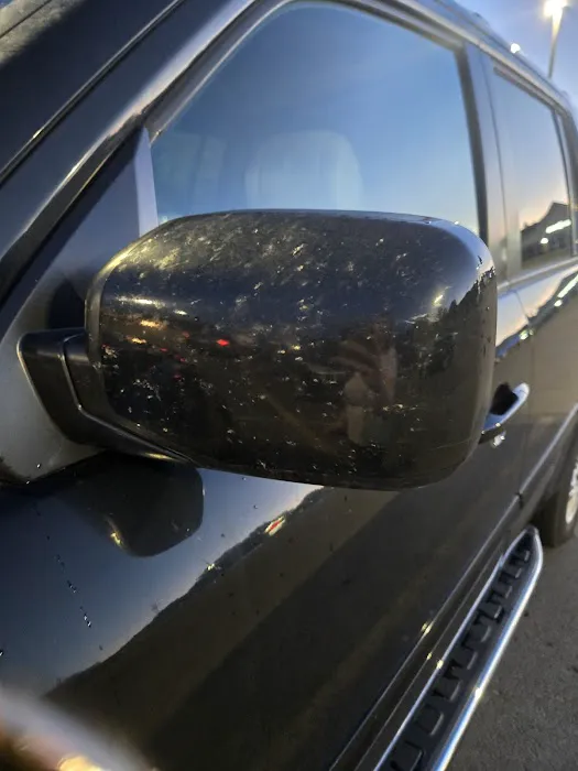 Squeaky's II Picture 8