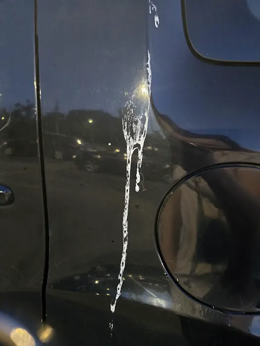 Squeaky's II Picture 3