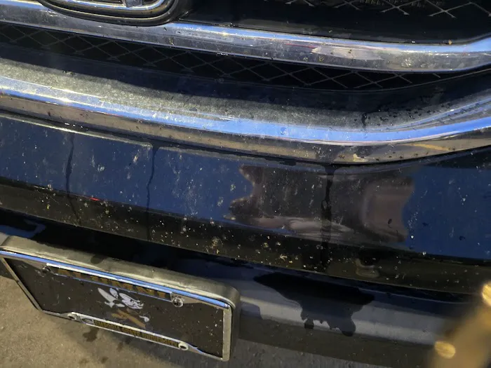 Squeaky's II Picture 2