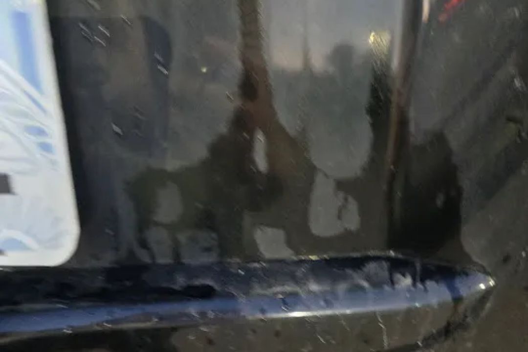 Squeaky's II