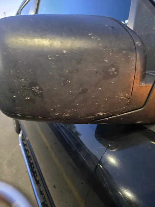 Squeaky's II Picture 4