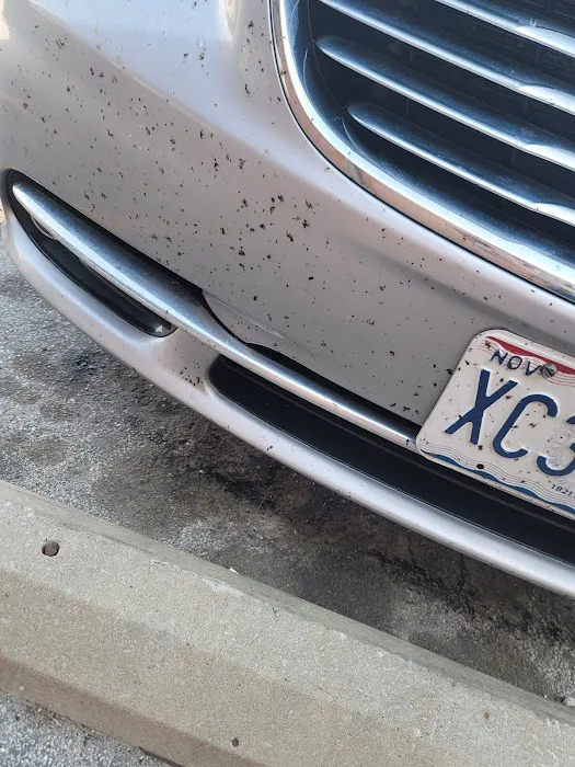 Village Car Wash Picture 6