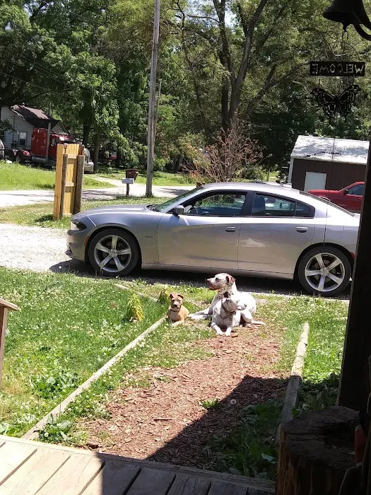 Village Car Wash Picture 5