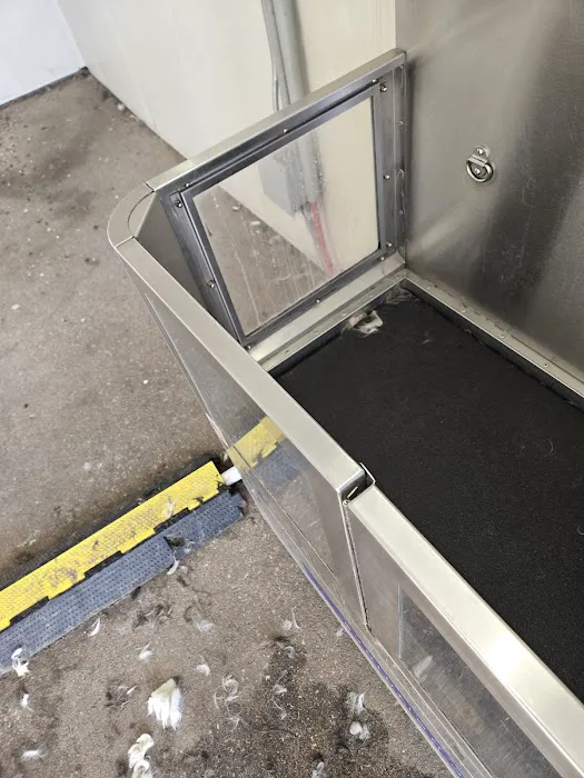 Green Meadows Car and Pet Wash Picture 1