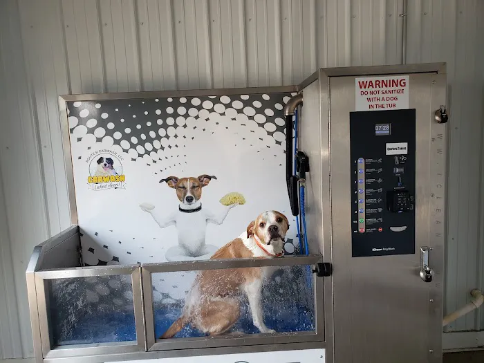 Route B Car Wash Picture 4