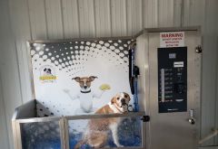 Route B Car Wash photo 4