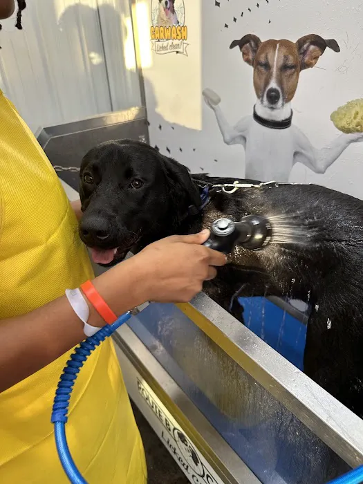 Route B Car Wash Picture 5