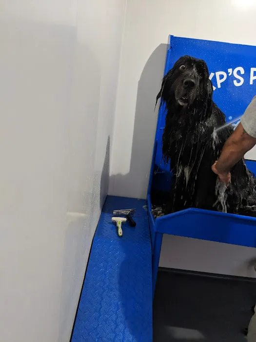 KP's Car Wash Picture 1