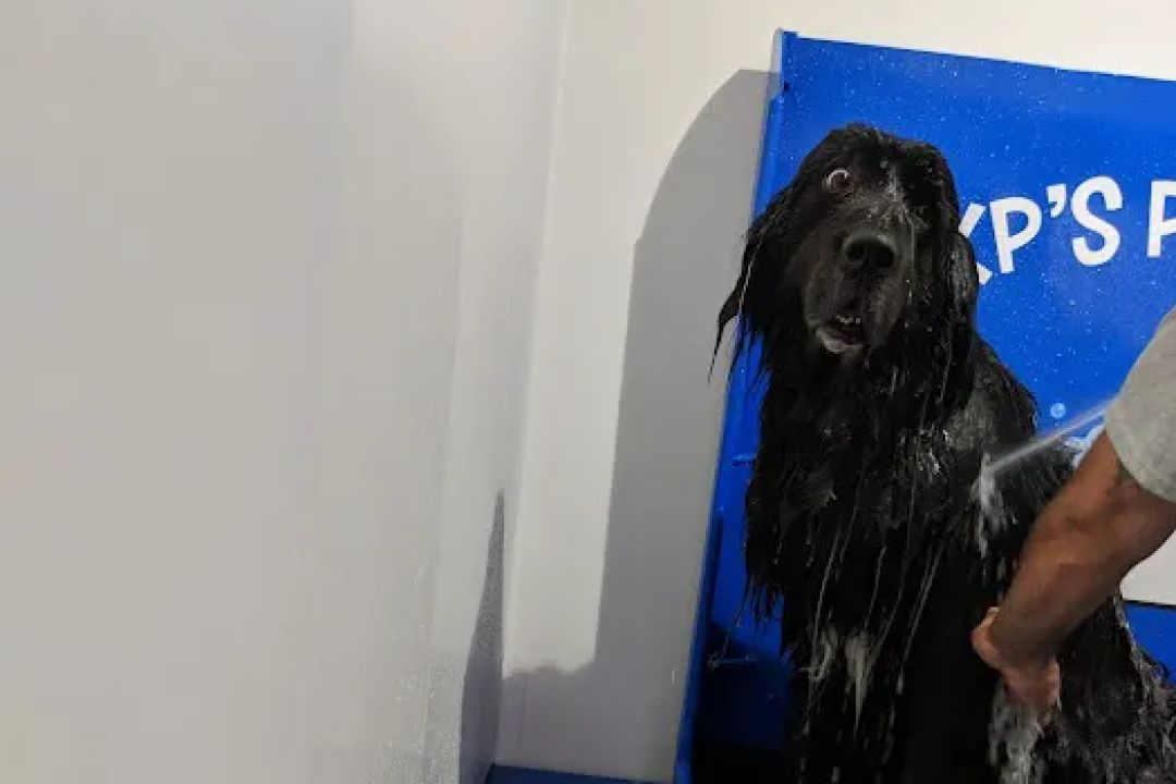 KP's Car Wash