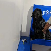 KP's Car Wash ico