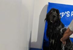KP's Car Wash photo 1