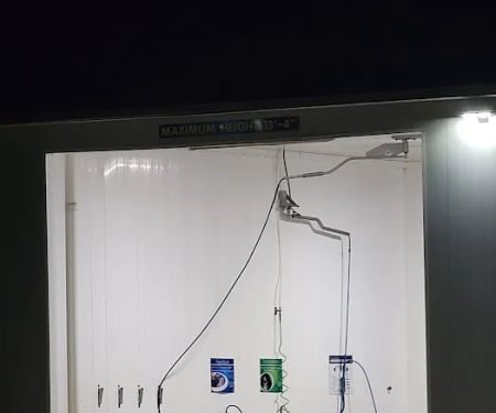 Magic Car and Pet Wash -Kingdom City