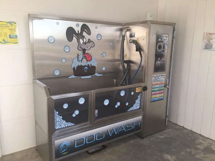 Magic Car and Pet Wash -Kingdom City Picture 3