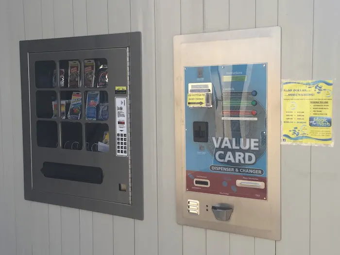 Magic Car and Pet Wash -Kingdom City Picture 6