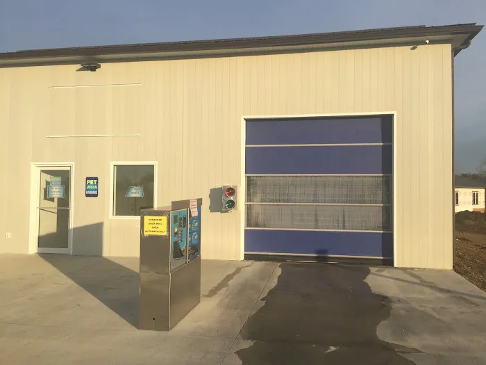 Magic Car and Pet Wash -Kingdom City Picture 4