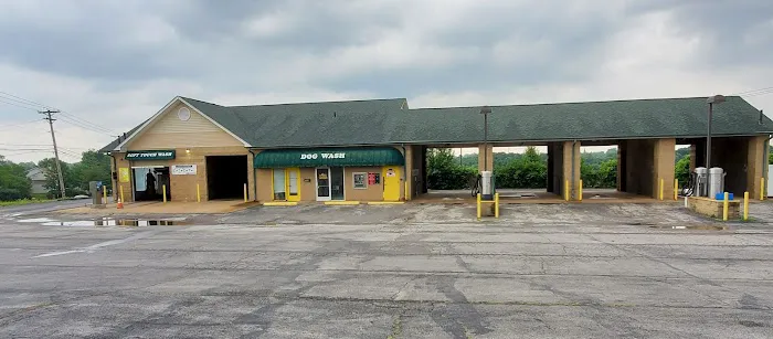 Jeffco Pamper Your Pooch Pet and Carwash Picture 1