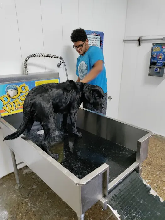 Auto Spa Speedy Wash - St. Peters Picture 9