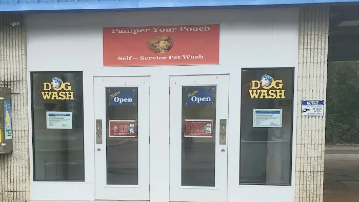 Pamper Your Pooch Picture 3