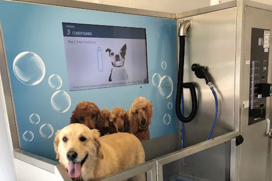 Pamper Your Pooch